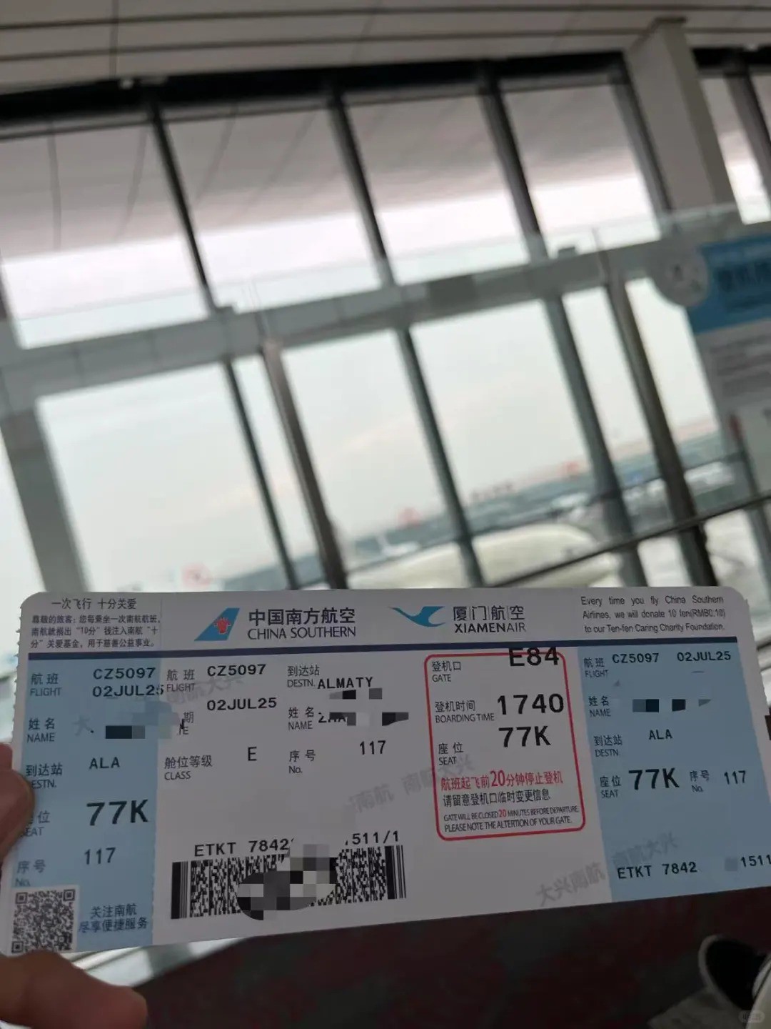 正式启程我的代孕之旅
